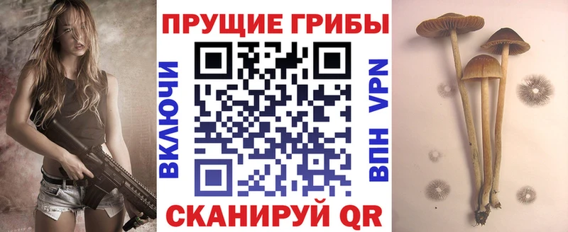 MEGA зеркало  Городище  Псилоцибиновые грибы Psilocybine cubensis 